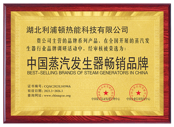 中國蒸汽發(fā)生器暢銷品牌