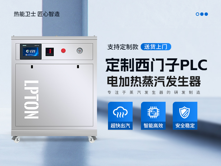 定制款西門(mén)子PLC蒸汽發(fā)生器