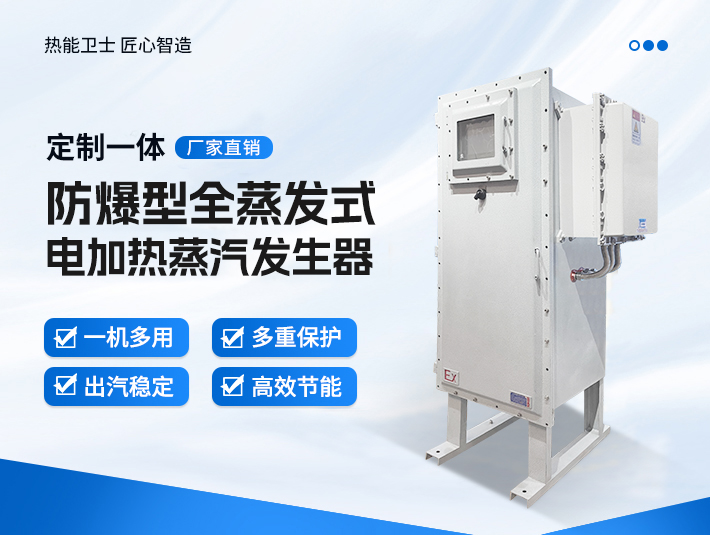 定制一體防爆全蒸發式電蒸汽發生器