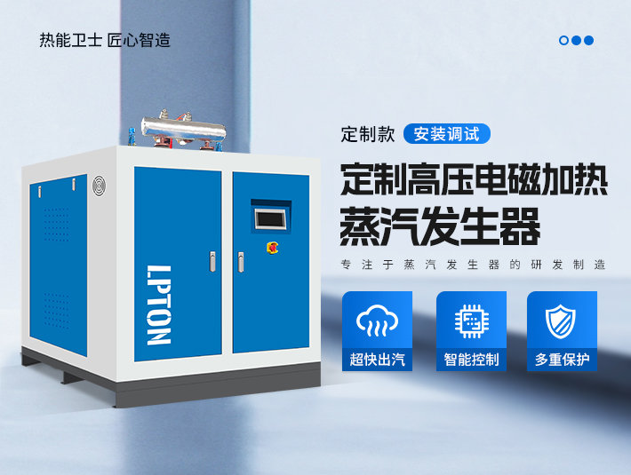 定制高壓電磁加熱蒸汽發生器