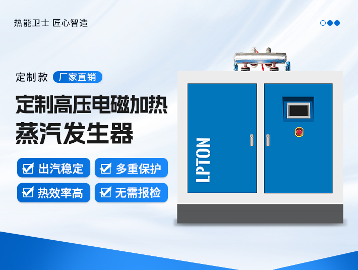定制高壓電磁加熱蒸汽發生器