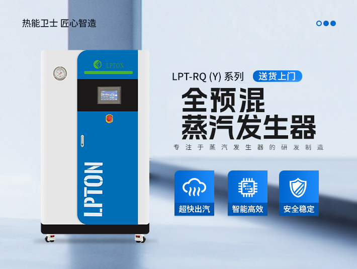 0.5t全預(yù)混燃?xì)庹羝l(fā)生器